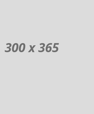 banner-img2